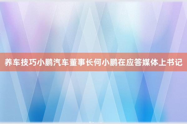 养车技巧小鹏汽车董事长何小鹏在应答媒体上书记