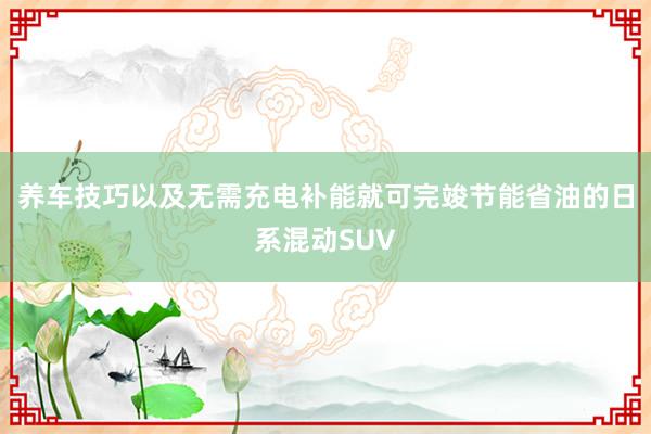 养车技巧以及无需充电补能就可完竣节能省油的日系混动SUV