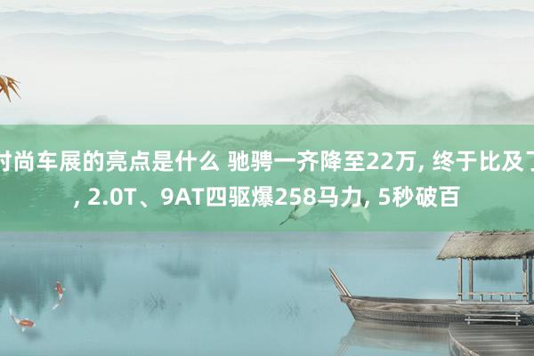 时尚车展的亮点是什么 驰骋一齐降至22万, 终于比及了, 2.0T、9AT四驱爆258马力, 5秒破百