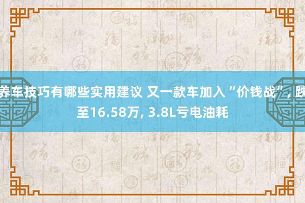 养车技巧有哪些实用建议 又一款车加入“价钱战”, 跌至16.58万, 3.8L亏电油耗