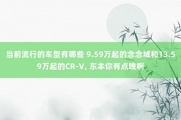 当前流行的车型有哪些 9.59万起的念念域和13.59万起的CR-V, 东本你有点晚啊