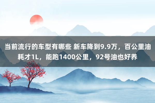 当前流行的车型有哪些 新车降到9.9万，百公里油耗才1L，能跑1400公里，92号油也好养