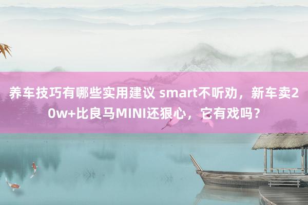 养车技巧有哪些实用建议 smart不听劝，新车卖20w+比良马MINI还狠心，它有戏吗？