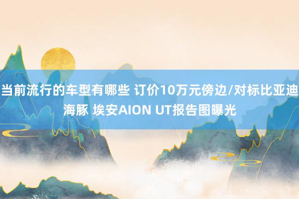 当前流行的车型有哪些 订价10万元傍边/对标比亚迪海豚 埃安AION UT报告图曝光