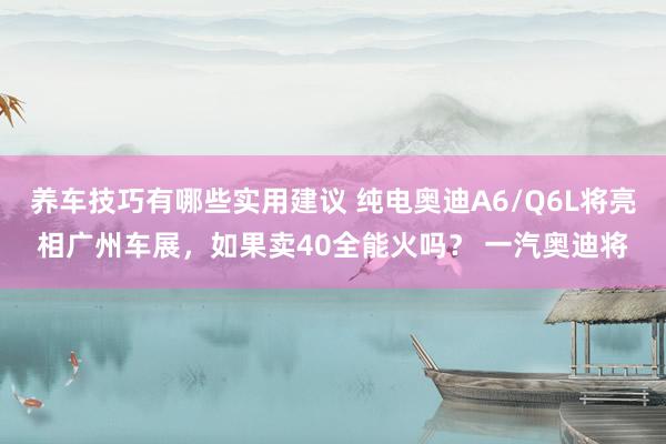 养车技巧有哪些实用建议 纯电奥迪A6/Q6L将亮相广州车展，如果卖40全能火吗？ 一汽奥迪将