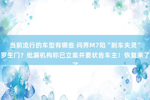 当前流行的车型有哪些 问界M7陷“刹车失灵”罗生门？纰漏机构称已立案并要状告车主！恢复来了