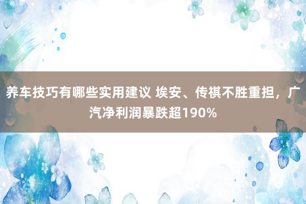 养车技巧有哪些实用建议 埃安、传祺不胜重担，广汽净利润暴跌超190%