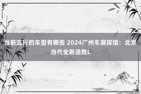 当前流行的车型有哪些 2024广州车展探馆：北京当代全新途胜L