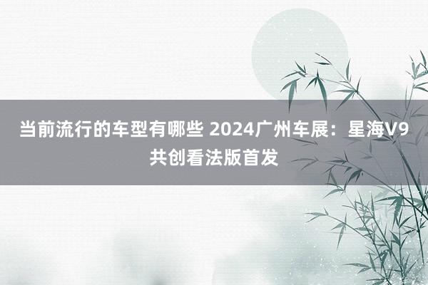 当前流行的车型有哪些 2024广州车展：星海V9共创看法版首发