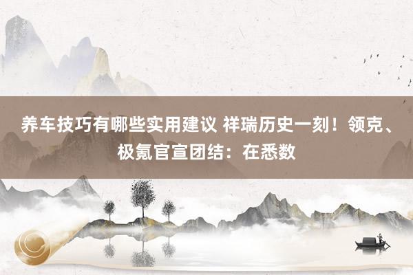 养车技巧有哪些实用建议 祥瑞历史一刻！领克、极氪官宣团结：在悉数