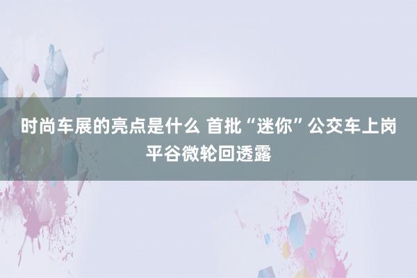 时尚车展的亮点是什么 首批“迷你”公交车上岗平谷微轮回透露