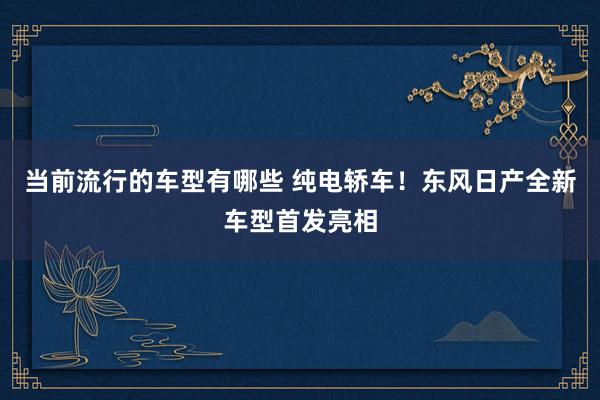 当前流行的车型有哪些 纯电轿车！东风日产全新车型首发亮相