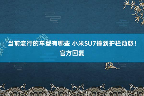 当前流行的车型有哪些 小米SU7撞到护栏动怒！官方回复