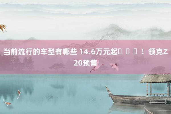 当前流行的车型有哪些 14.6万元起​​​！领克Z20预售