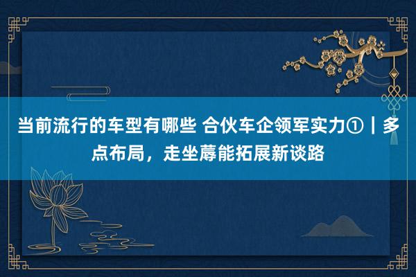 当前流行的车型有哪些 合伙车企领军实力①｜多点布局，走坐蓐能拓展新谈路