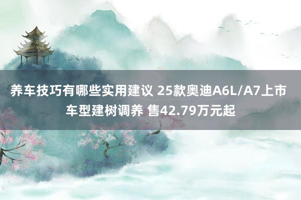 养车技巧有哪些实用建议 25款奥迪A6L/A7上市 车型建树调养 售42.79万元起