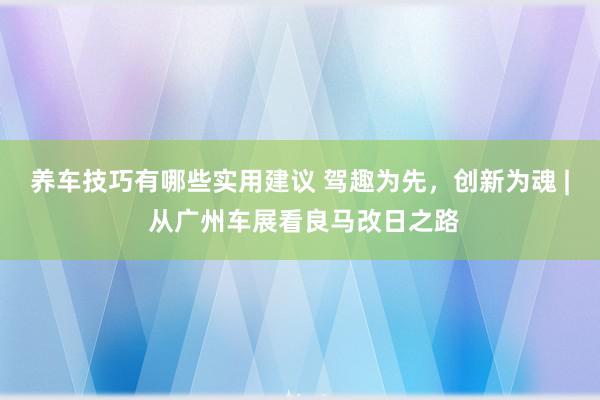 养车技巧有哪些实用建议 驾趣为先，创新为魂 | 从广州车展看良马改日之路