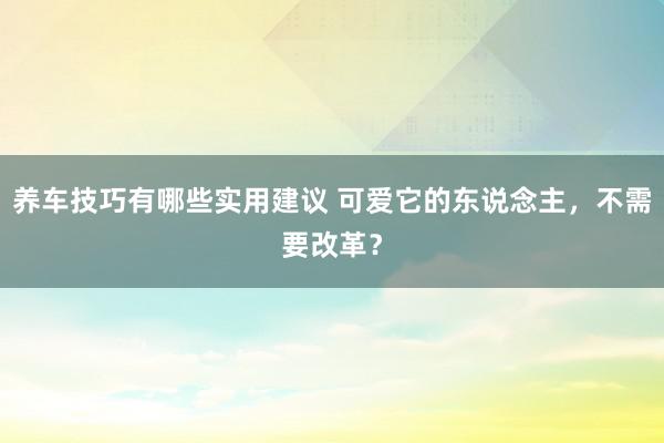 养车技巧有哪些实用建议 可爱它的东说念主，不需要改革？