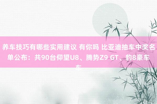 养车技巧有哪些实用建议 有你吗 比亚迪抽车中奖名单公布：共90台仰望U8、腾势Z9 GT、豹8豪车