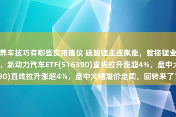 养车技巧有哪些实用建议 碳酸锂主连飙涨，赣锋锂业涨停、宁德时期涨3%，新动力汽车ETF(516390)直线拉升涨超4%，盘中大幅溢价走阔，回转来了？