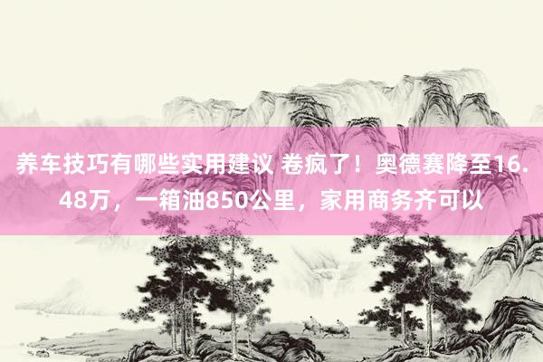 养车技巧有哪些实用建议 卷疯了！奥德赛降至16.48万，一箱油850公里，家用商务齐可以