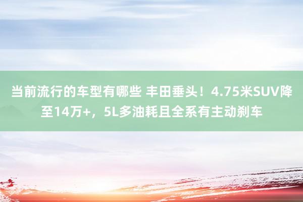 当前流行的车型有哪些 丰田垂头！4.75米SUV降至14万+，5L多油耗且全系有主动刹车