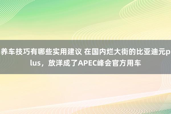 养车技巧有哪些实用建议 在国内烂大街的比亚迪元plus，放洋成了APEC峰会官方用车