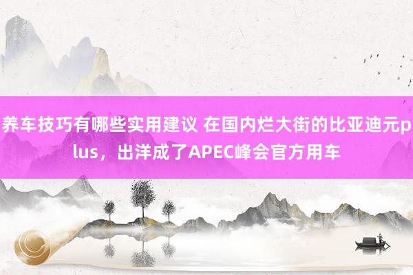 养车技巧有哪些实用建议 在国内烂大街的比亚迪元plus，出洋成了APEC峰会官方用车