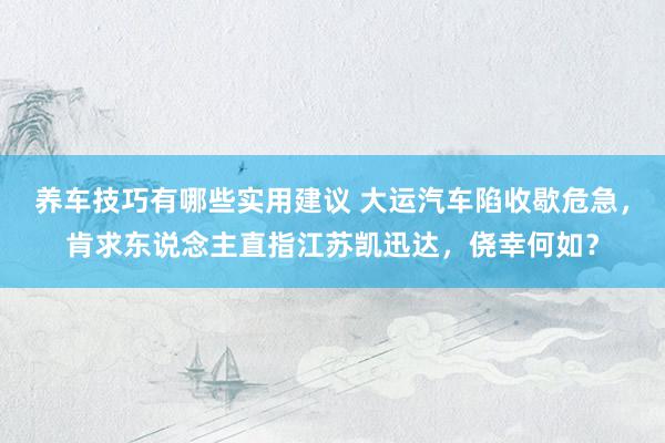 养车技巧有哪些实用建议 大运汽车陷收歇危急，肯求东说念主直指江苏凯迅达，侥幸何如？