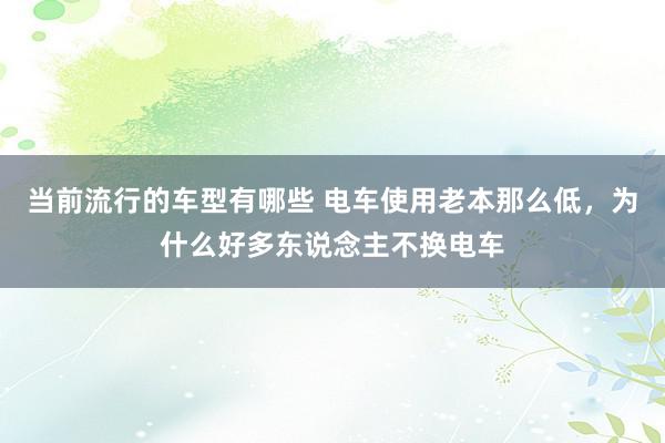 当前流行的车型有哪些 电车使用老本那么低，为什么好多东说念主不换电车