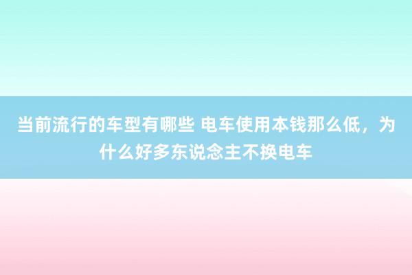 当前流行的车型有哪些 电车使用本钱那么低，为什么好多东说念主不换电车