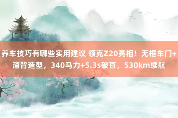 养车技巧有哪些实用建议 领克Z20亮相！无框车门+溜背造型，340马力+5.3s破百，530km续航