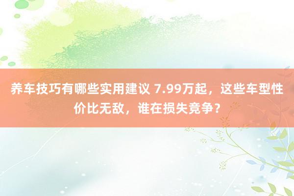 养车技巧有哪些实用建议 7.99万起，这些车型性价比无敌，谁在损失竞争？