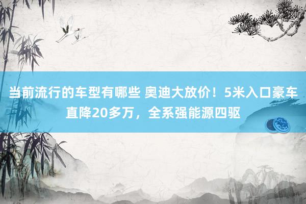 当前流行的车型有哪些 奥迪大放价！5米入口豪车直降20多万，全系强能源四驱