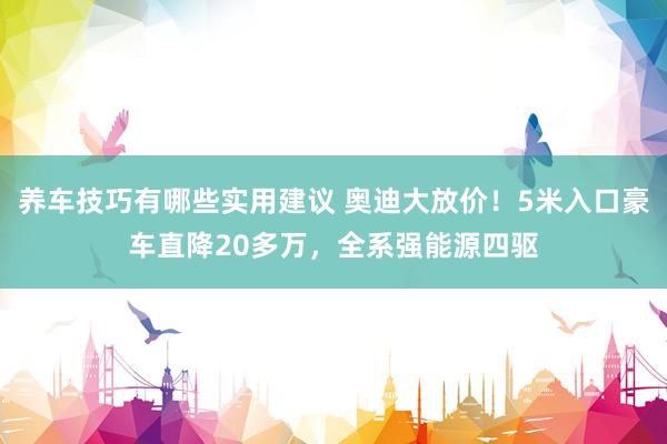 养车技巧有哪些实用建议 奥迪大放价！5米入口豪车直降20多万，全系强能源四驱