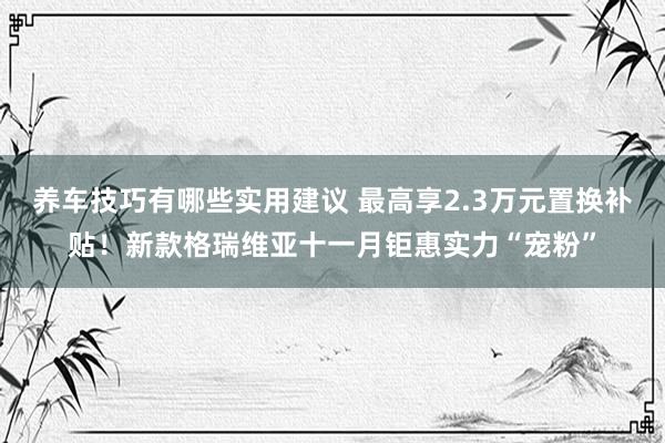 养车技巧有哪些实用建议 最高享2.3万元置换补贴！新款格瑞维亚十一月钜惠实力“宠粉”