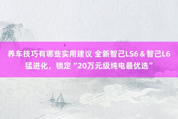 养车技巧有哪些实用建议 全新智己LS6＆智己L6猛进化，锁定“20万元级纯电最优选”