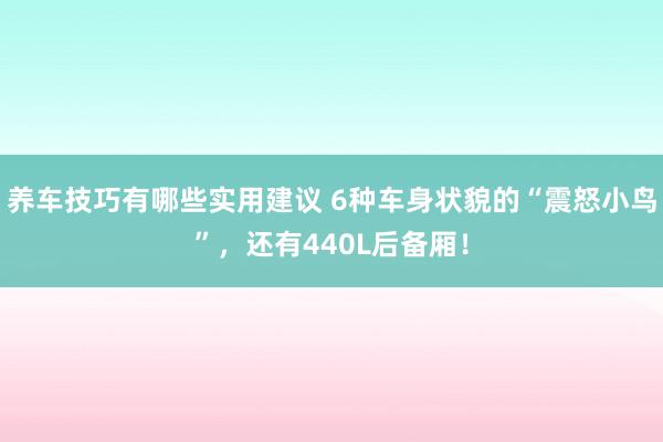 养车技巧有哪些实用建议 6种车身状貌的“震怒小鸟”，还有440L后备厢！