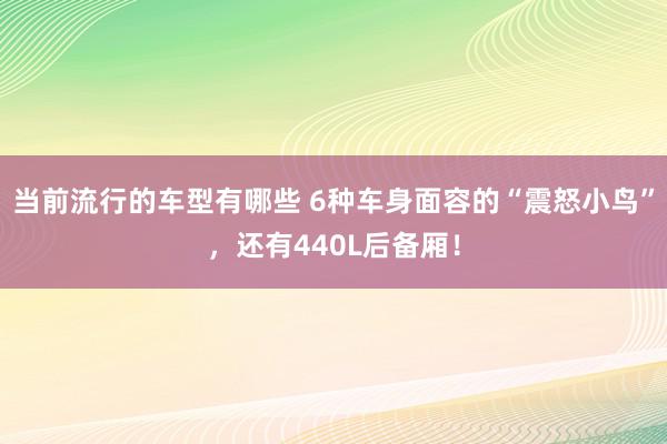 当前流行的车型有哪些 6种车身面容的“震怒小鸟”，还有440L后备厢！