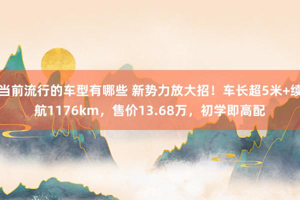 当前流行的车型有哪些 新势力放大招！车长超5米+续航1176km，售价13.68万，初学即高配