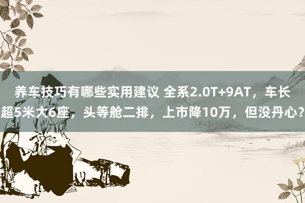 养车技巧有哪些实用建议 全系2.0T+9AT，车长超5米大6座，头等舱二排，上市降10万，但没丹心？