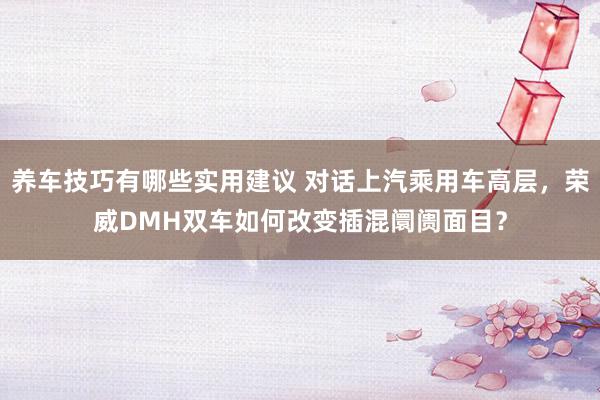 养车技巧有哪些实用建议 对话上汽乘用车高层，荣威DMH双车如何改变插混阛阓面目？