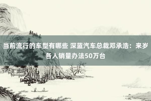 当前流行的车型有哪些 深蓝汽车总裁邓承浩：来岁各人销量办法50万台