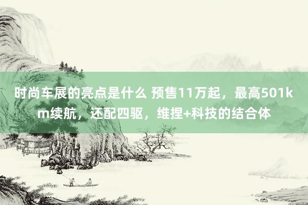 时尚车展的亮点是什么 预售11万起，最高501km续航，还配四驱，维捏+科技的结合体