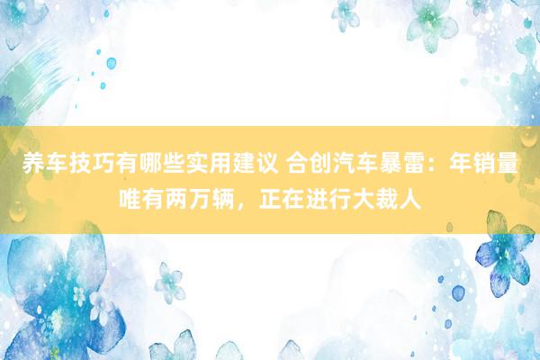 养车技巧有哪些实用建议 合创汽车暴雷：年销量唯有两万辆，正在进行大裁人