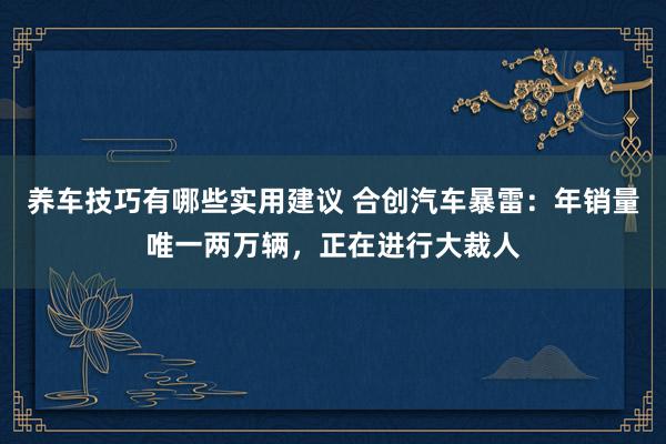 养车技巧有哪些实用建议 合创汽车暴雷：年销量唯一两万辆，正在进行大裁人