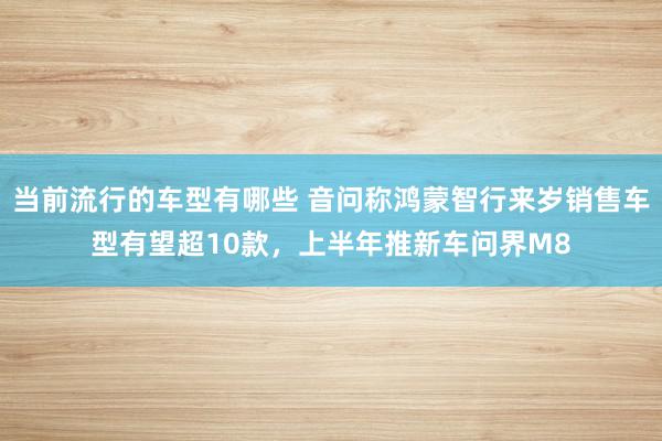 当前流行的车型有哪些 音问称鸿蒙智行来岁销售车型有望超10款，上半年推新车问界M8