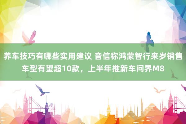 养车技巧有哪些实用建议 音信称鸿蒙智行来岁销售车型有望超10款，上半年推新车问界M8