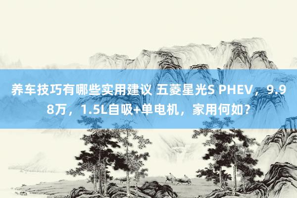 养车技巧有哪些实用建议 五菱星光S PHEV，9.98万，1.5L自吸+单电机，家用何如？