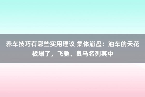 养车技巧有哪些实用建议 集体崩盘：油车的天花板塌了，飞驰、良马名列其中